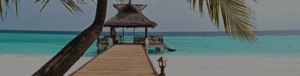 Holidays Pitman View